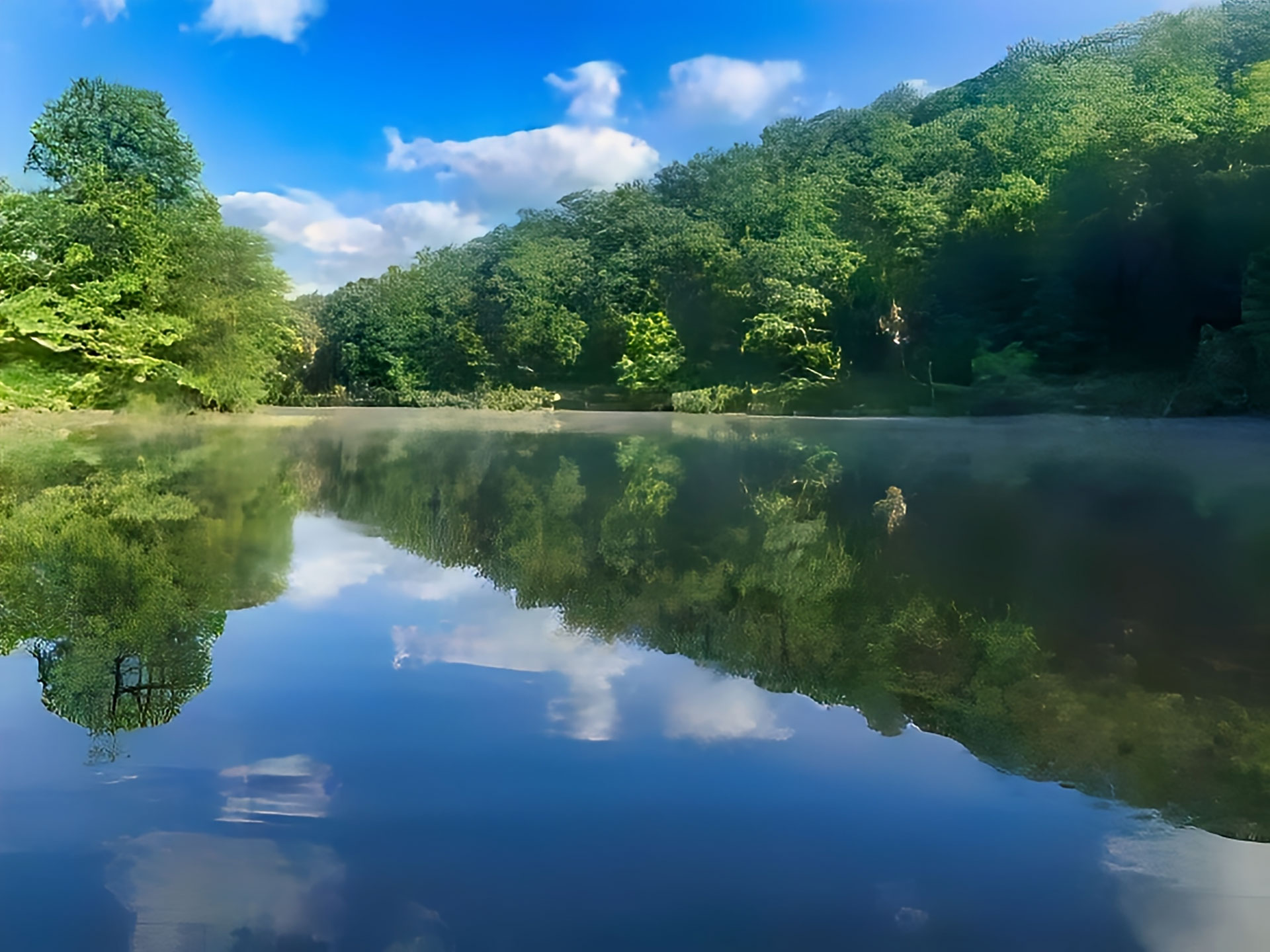 Statts Mills Campground and Cabins - Photo Gallery